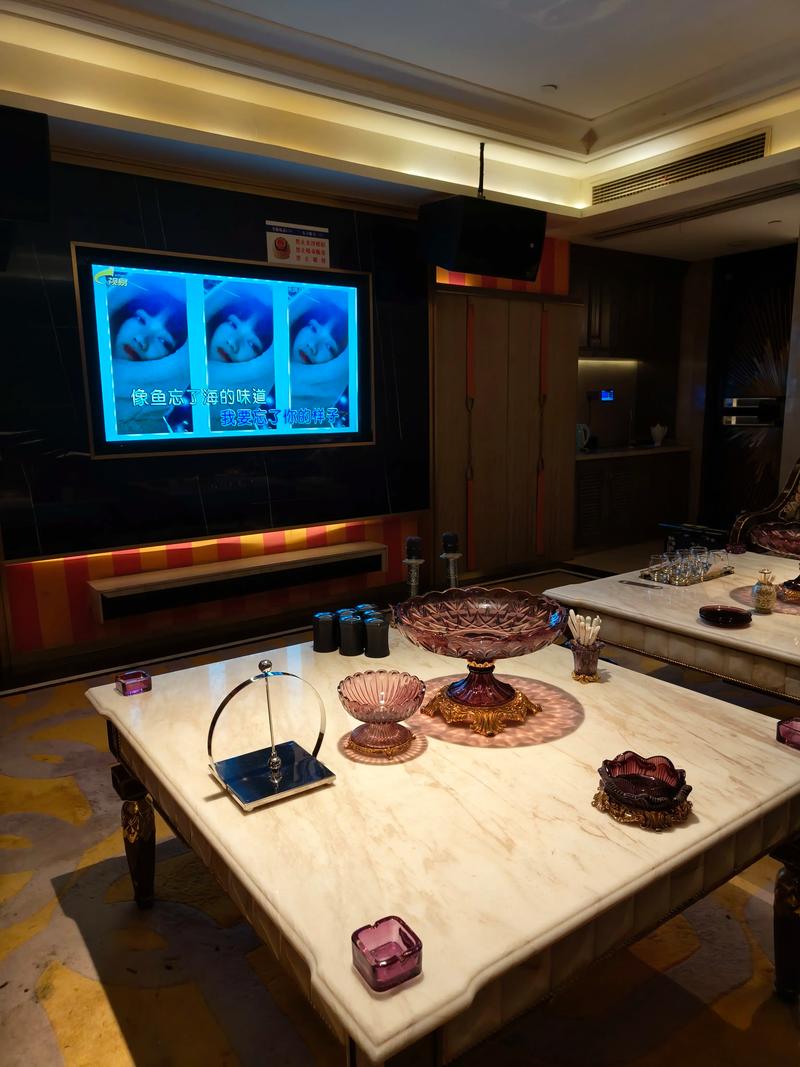 东营商务ktv优选商务ktv订房指南-河口区ktv预订